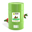 Wintergreen eterisk olja Ekologisk