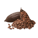 Cacao Boter | Cosmetica (Biologisch & Koudgeperst) - Oliemeesters