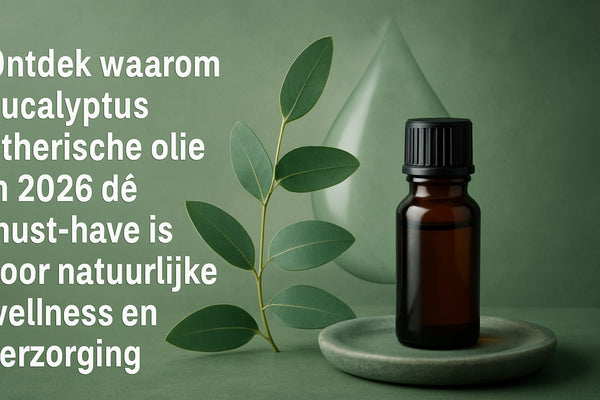 Etherische Olie Eucalyptus Guide: Toepassingen & Tips 2026