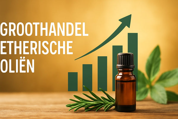 Groothandel Etherische Oliën Gids: Alles voor 2026