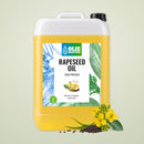 Rapsolie (Canola) (Økologisk & Koldpresset)