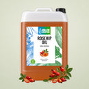 Olio di semi di rosa canina (Rosehipseed) (Biologico e spremuto a freddo)