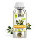 Helichrysum (strobloem) Etherische olie Biologisch | PREMIUM