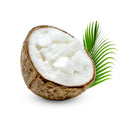 Huile de coco (graisse de noix de coco) (biologique et pressée à froid)
