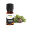 Cedarwood Essential Oil Organic | 10ML | Pure Eden®