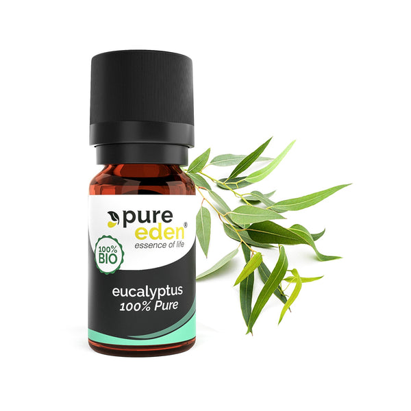 Eucalyptus Etherische olie Biologisch | Pure Eden® | 10 ML