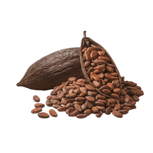 Cacao Boter | Cosmetica (Biologisch & Koudgeperst)