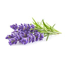 Lavendel (Lavandin) Etherische olie Biologisch | 10 ML | Pure Eden® - Oliemeesters